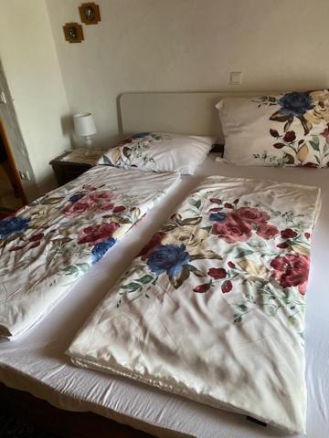 Apartma Jozica In Toncek Sveti Jurij ob Scavnici Exterior foto